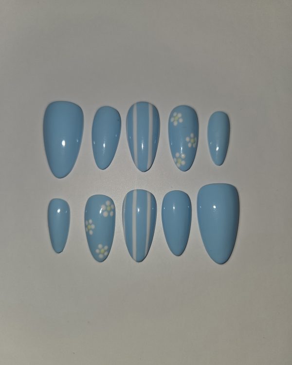 24318 Aqua
